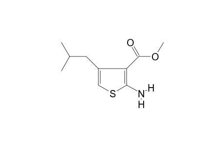 2-amino-4-isobutyl-thiophene-3-carboxylic acid methyl ester