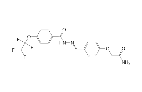 2-[4-((E)-{[4-(1,1,2,2-tetrafluoroethoxy)benzoyl]hydrazono}methyl)phenoxy]acetamide