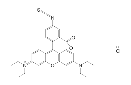 Rhodamine B isothiocyanate