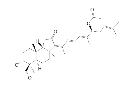 STELLIFERIN-G