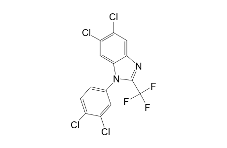 5,6-bis(chloranyl)-1-(3,4-dichlorophenyl)-2-(trifluoromethyl)benzimidazole