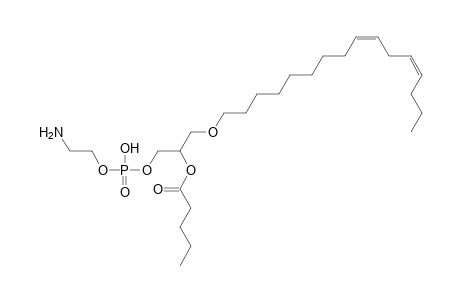 PE O-16:2_5:0