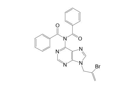 N(6),N(6)-Dibenzoyl-9-(2-bromo-2-propen-1-yl)adenine