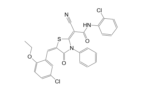 (2E)-2-[(5E)-5-(5-chloro-2-ethoxybenzylidene)-4-oxo-3-phenyl-1,3-thiazolidin-2-ylidene]-N-(2-chlorophenyl)-2-cyanoethanamide