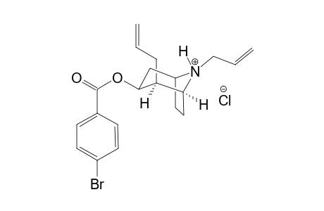 2,8-Diallyl-3-(4-bromobenzoyloxy)-8-azoniabicyclo[3.2.1]octane chloride