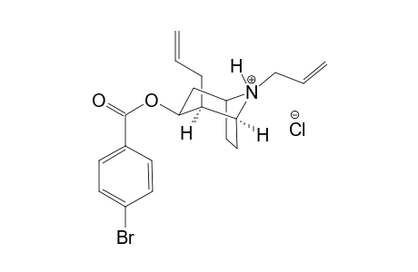 2,8-Diallyl-3-(4-bromobenzoyloxy)-8-azoniabicyclo[3.2.1]octane chloride