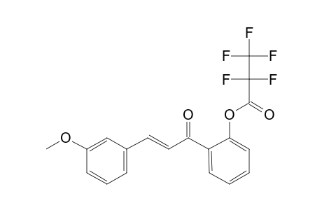 2'-Hydroxy-3-methoxychalcone, pentafluoropropionate