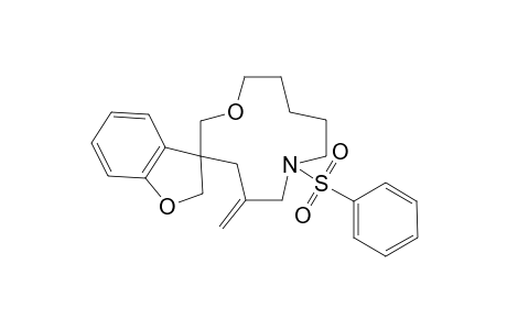 Spiro[benzofuran-3,3'-5'-methylene-N-(phenylsulfonyl)-1'-oxa-7'-azacyclododecane]