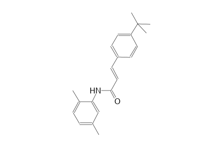 (2E)-3-(4-tert-butylphenyl)-N-(2,5-dimethylphenyl)-2-propenamide