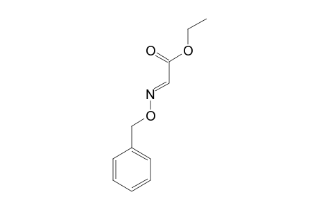 ETHYL-2-(O-BENZYLOXYIMINE)-ETHANOATE