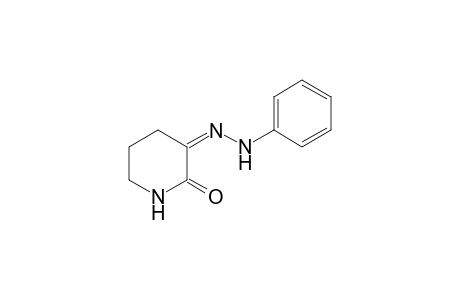 (3Z)-2,3-Piperidinedione 3-(phenylhydrazone)