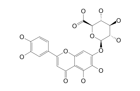6-HYDROXYLUTEOLIN-7-O-BETA-D-GLUCURONOPYRANOSIDE