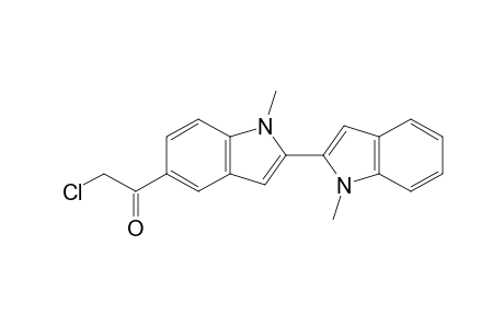 2-Chloranyl-1-[1-methyl-2-(1-methylindol-2-yl)indol-5-yl]ethanone