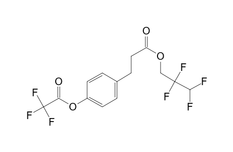 3-(4-Hydroxyphenyl)propionic acid, o-trifluoroacetyl-, 2,2,3,3-tetrafluoro-1-propyl ester