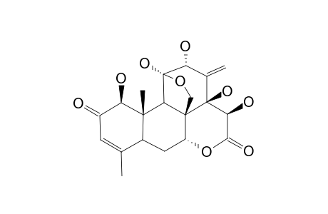 EURYCOMANONE