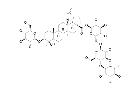 3-EPI-BETULINIC-ACID-3-O-BETA-D-GLUCOPYRANOSIDE-28-O-[ALPHA-L-RHAMNOPYRANOSYL-(1->4)-O-BETA-D-GLUCOPYRANOSYL-(1->6)]-BETA-D-GLUCOPYRANOSIDE