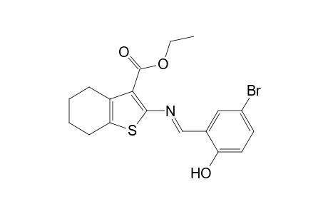 2-[(5-bromosalicylidene)amino]-4,5,6,7-tetrahydrobenzo[b]thiophene-3-carboxylic acid, ethyl ester