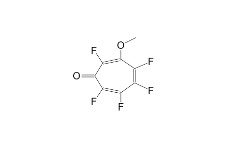 3-METHOXYPENTAFLUOROTROPONE