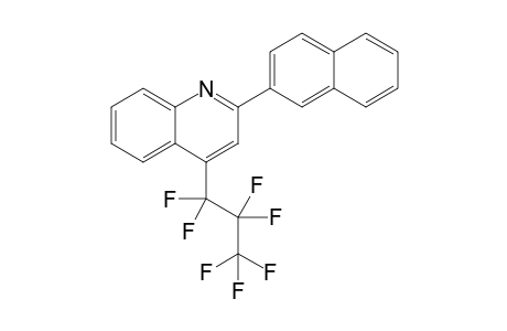 4-Heptafluoropropyl-2-(2-naphthyl)quinoline