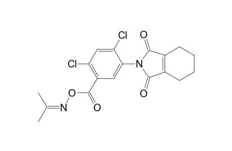 1H-Isoindole-1,3(2H)-dione, 2-[2,4-dichloro-5-[[[(1-methylethylidene)amino]oxy]carbonyl]phenyl]-4,5,6,7-tetrahydro-