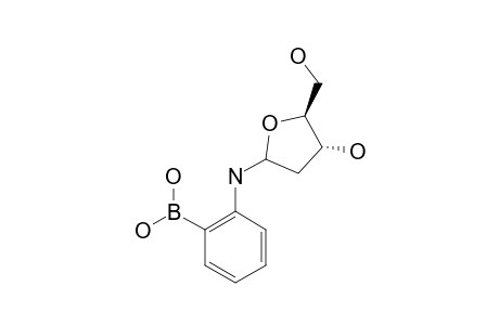 [2-[N-(DEOXY-D-RIBOFURANOSYL)-AMINO]-PHENYL]-BORONIC-ACID