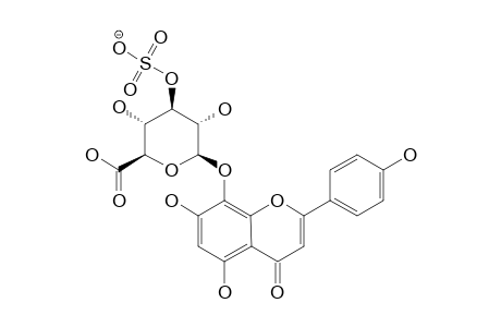 THEOGRANDIN-I;ISOSCUTELLAREIN-8-O-BETA-D-GLUCURONOPYRANOSIDE-3''-O-SULFATE