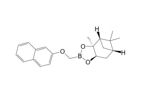 (1S,2S,6R,8S)-2,9,9-trimethyl-4-(2-naphthyloxymethyl)-3,5-dioxa-4-boratricyclo[6.1.1.02,6]decane