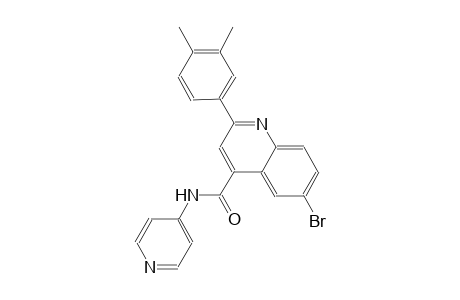 6-bromo-2-(3,4-dimethylphenyl)-N-(4-pyridinyl)-4-quinolinecarboxamide