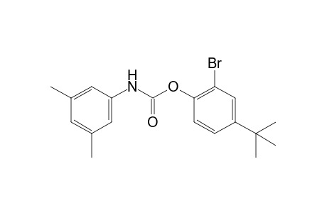 3,5-dimethylcarbanilic acid, 2-bromo-4-tert-butylphenyl ester
