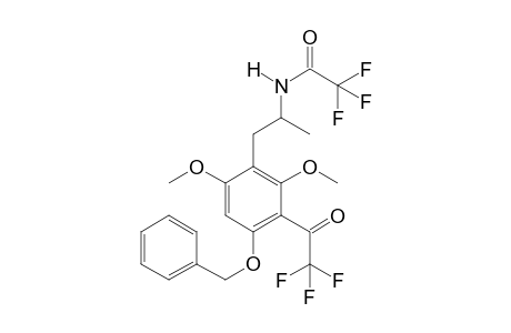 Psi-MBNM 2TFA