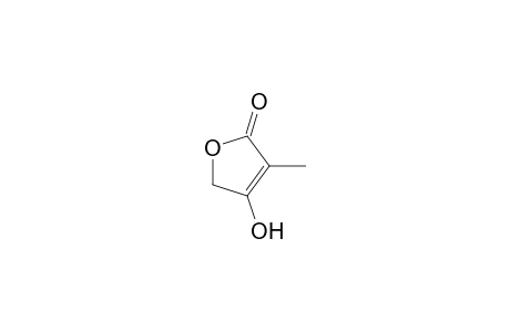 2(5H)-Furanone, 4-hydroxy-3-methyl-