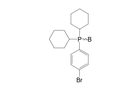 (4-BROMOPHENYL)-DICYCLOHEXYLPHOSPHANE-BORANE-COMPLEX