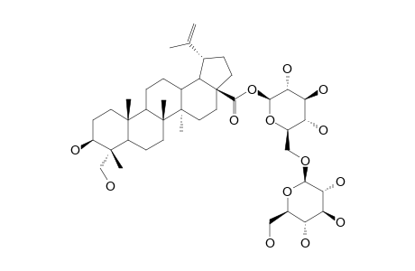 PULSATILLOSIDE-B;3-BETA,23-DIHYDROXY-LUP-20(29)-EN-28-OIC-ACID-28-O-BETA-D-GLUCOPYRANOSYL-(1->6)-BETA-D-GLUCOPYRANOSIDE