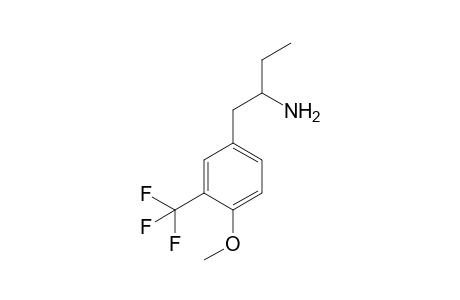 1-(4-Methoxy-3-(trifluoromethyl)phenyl)butan-2-amine