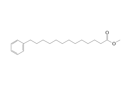 Methyl 13-phenyl-tridecanoate