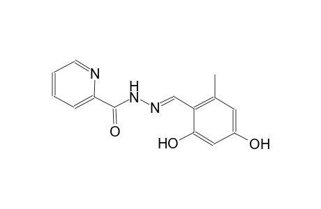 2-pyridinecarboxylic acid, 2-[(E)-(2,4-dihydroxy-6-methylphenyl)methylidene]hydrazide