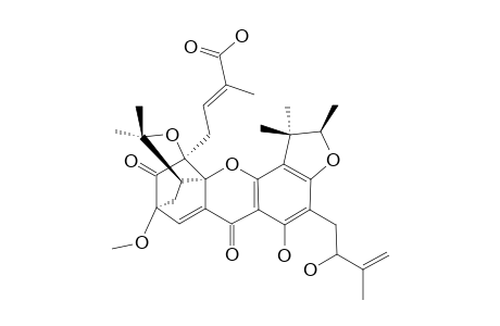 SCORTECHINONE_R