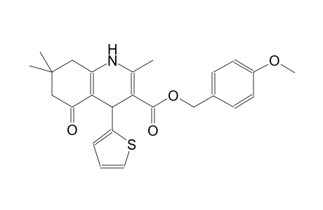 3-quinolinecarboxylic acid, 1,4,5,6,7,8-hexahydro-2,7,7-trimethyl-5-oxo-4-(2-thienyl)-, (4-methoxyphenyl)methyl ester