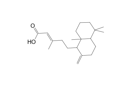 2-Pentenoic acid, 5-(decahydro-5,5,8a-trimethyl-2-methylene-1-naphthalenyl)-3-methyl-, [1S-[1.alpha.(E),4a.beta.,8a.alpha.]]-