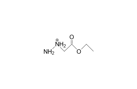 Hydrazino-acetic acid, ethyl ester cation