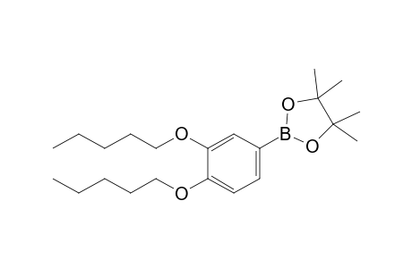 2-[3,4-Bis(pentyloxy)phenyl]-4,4,5,5-tetramethyl-1,3,2-dioxaborolane