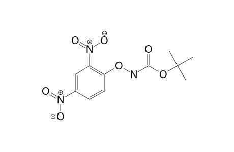 tert-Butyl (2,4-dinitrophenoxy)carbamate