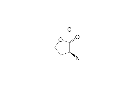 (S)-alpha-Amino-gamma-butyrolactone hydrochloride