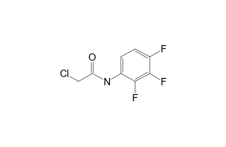 2-Chloro-N-(2,3,4-trifluorophenyl)acetamide