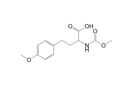 2-(carbomethoxyamino)-4-(4-methoxyphenyl)butyric acid