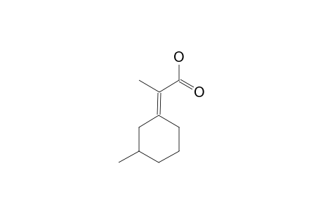 2-(3-METHYLCYCLOHEXYLIDEN)-PROPANOIC-ACID