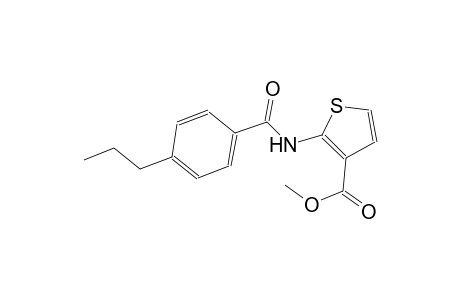 methyl 2-[(4-propylbenzoyl)amino]-3-thiophenecarboxylate