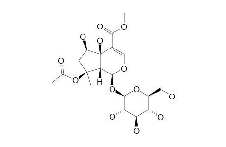 PHLORIGIDOSIDE-B;8-O-ACETYL-6-BETA-HYDROXY-IPOLAMIIDE