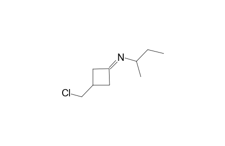 N-[3-(Chloromethyl)-1-cyclobutylidene)-sec-butylamine