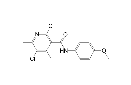 2,5-Dichloro-N-(4-methoxy-phenyl)-4,6-dimethyl-nicotinamide
